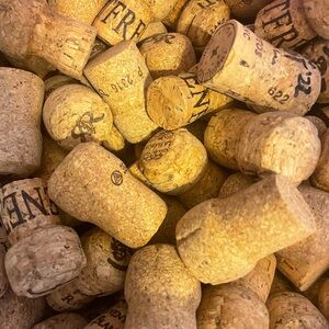 Assorted Champagne Wine Corks 🍾